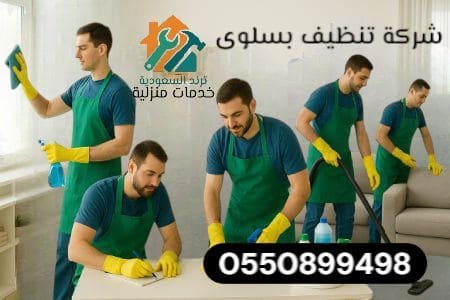 شركة تنظيف بسلوى