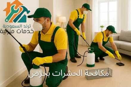 شركة مكافحة حشرات بحرض
