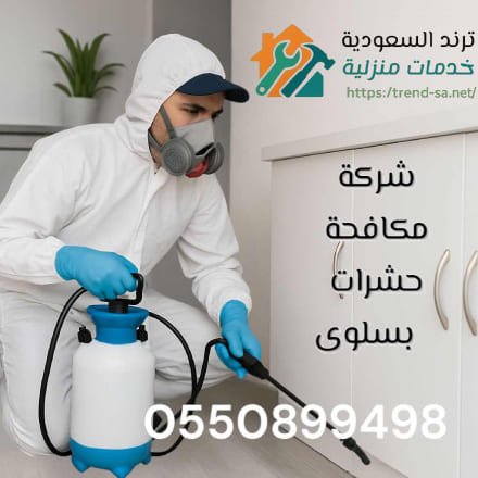 مكافحة الحشرات بسلوى