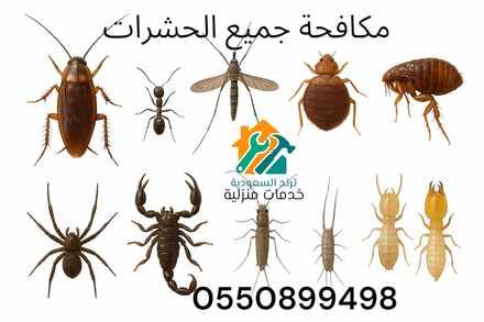 مكافحة جميع الحشرات