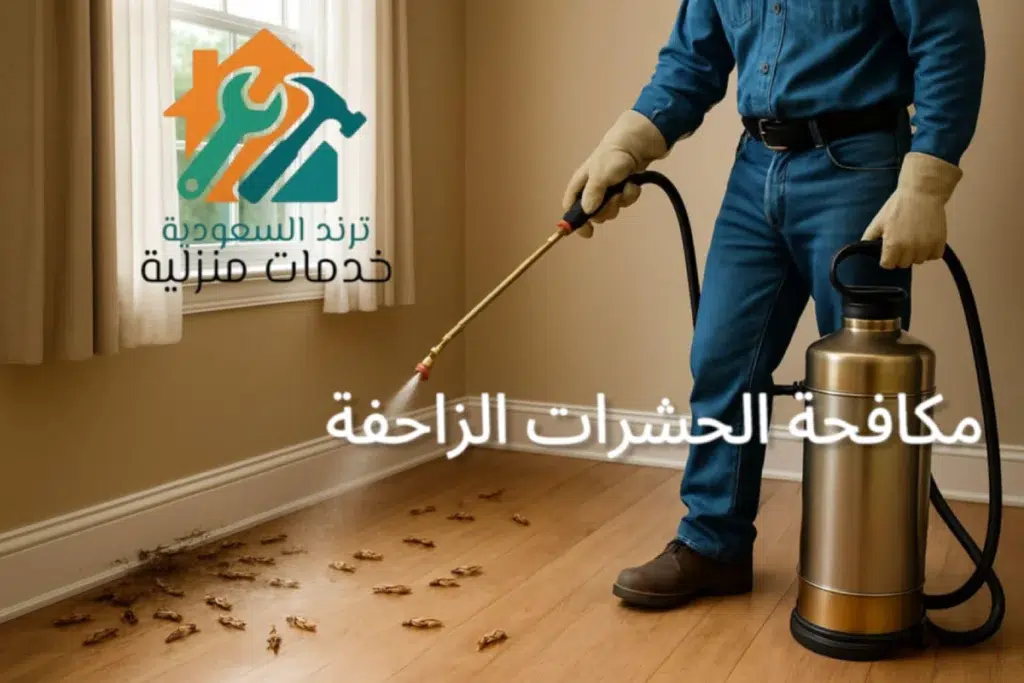 شركة مكافحة حشرات بالاحساء 0550899498 مكافحة الحشرات الزاحفة