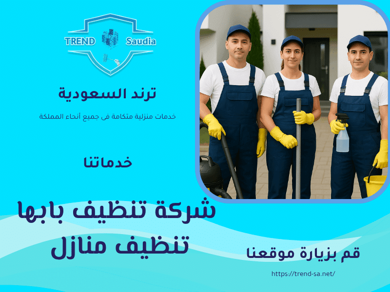 شركة تنظيف بابها