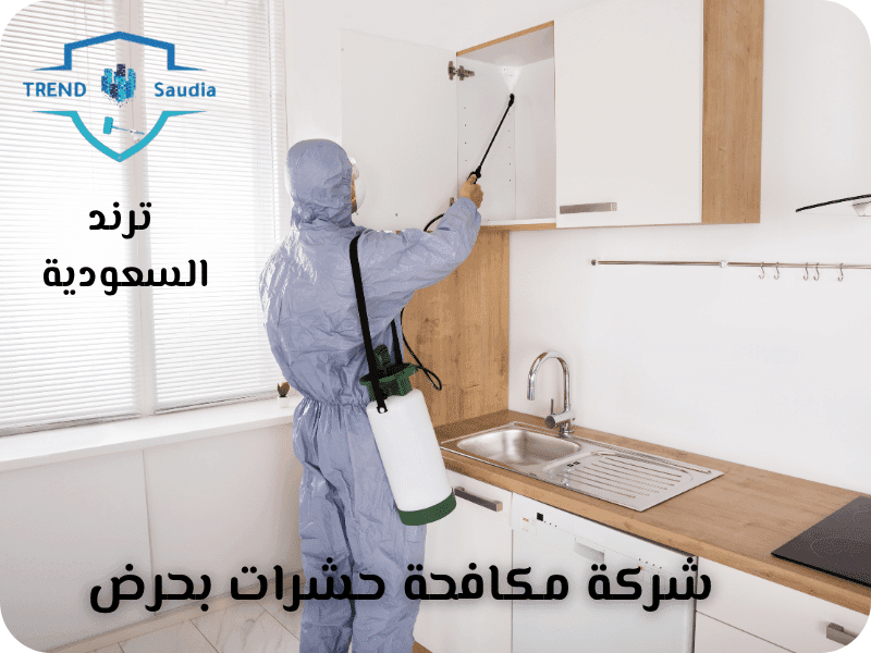 شركة مكافحة حشرات بحرض